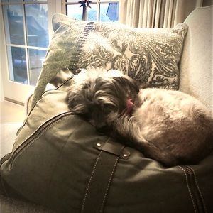 Meet your Posher, Nancy